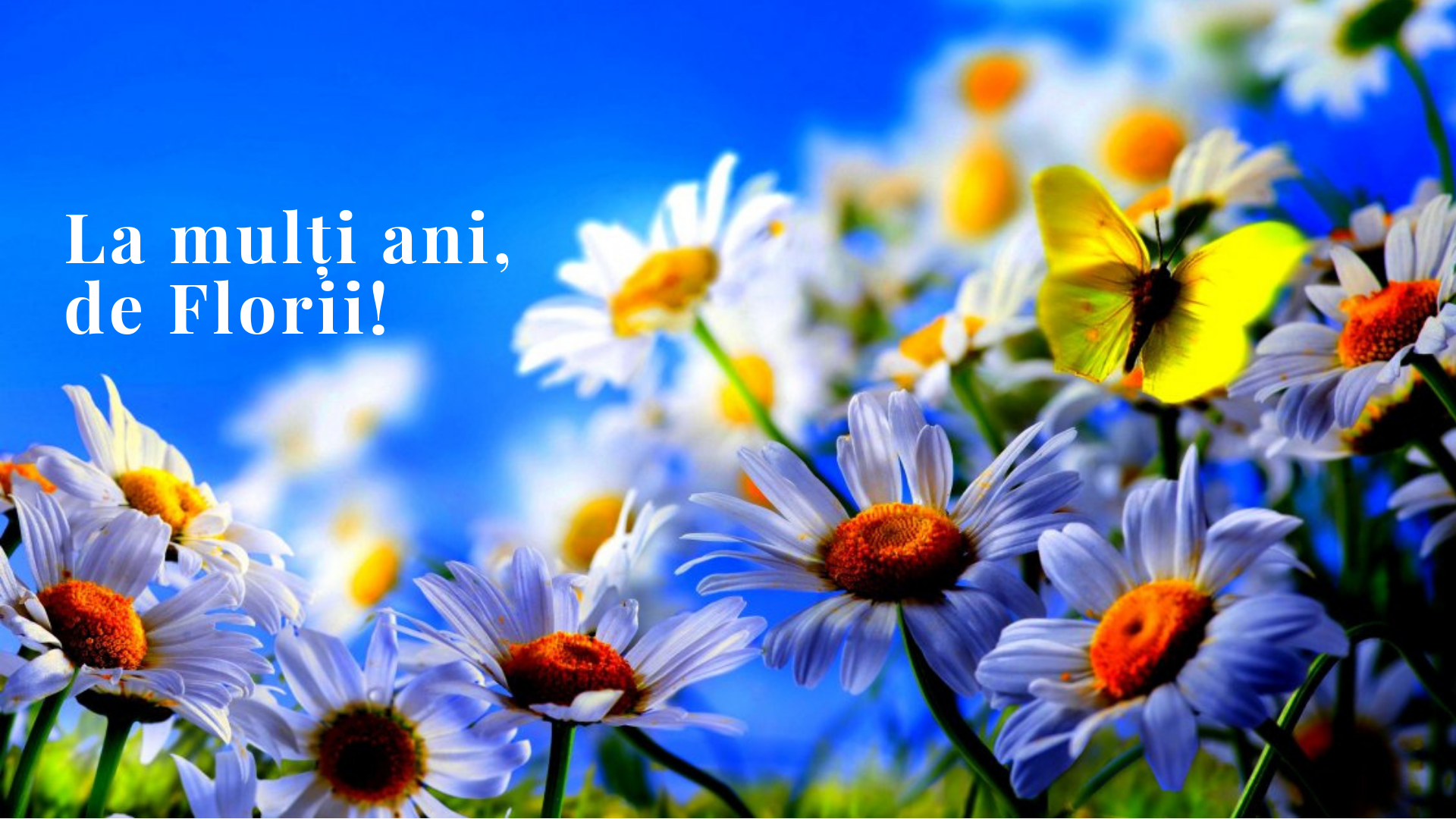 Cronica Giurgiuveană le urează tuturor celor care poartă nume de floare LA MULŢI ANI !