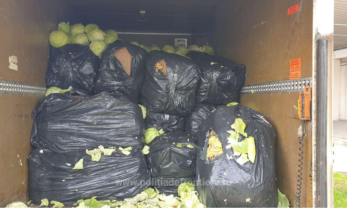 Aproximativ 9 tone de tutun vrac,  descoperite ascunse printre varză şi peleţi în P.T.F. Giurgiu