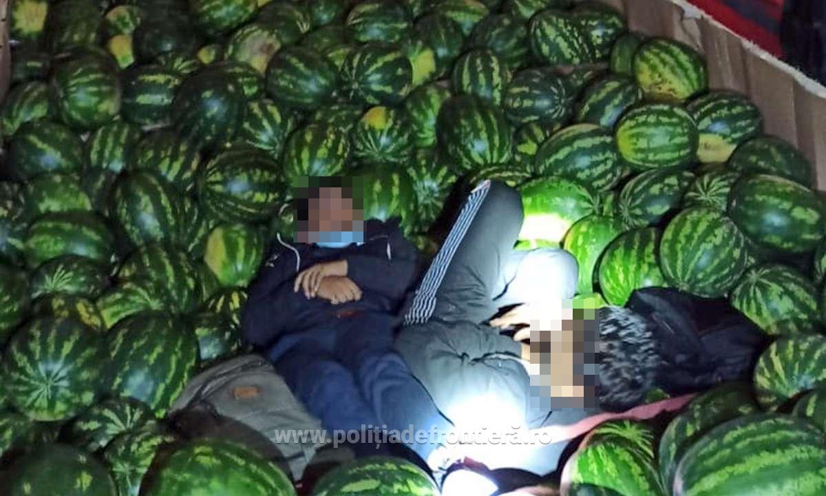 Cinci migranți depistaţi de polițiștii de frontieră din cadrul I.T.P.F. Giurgiu