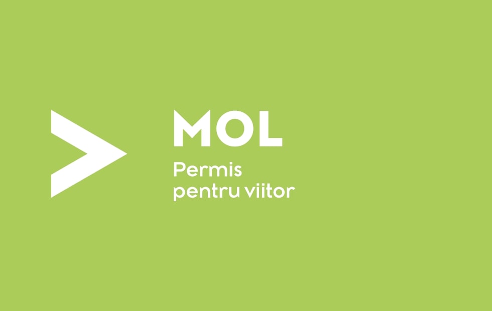 Permis pentru viitor   Înscrieri până în 21 ianuarie. Programul oferă sprijin financiar tinerilor din medii defavorizate pentru acoperirea costurilor școlii de șoferi