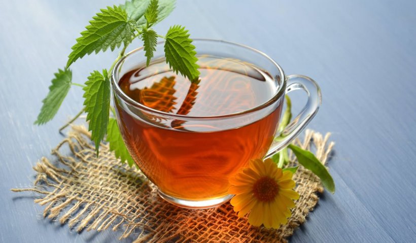 Planta-elixir care funcţionează ca un calmant, ajută la ulcer şi taie greaţa