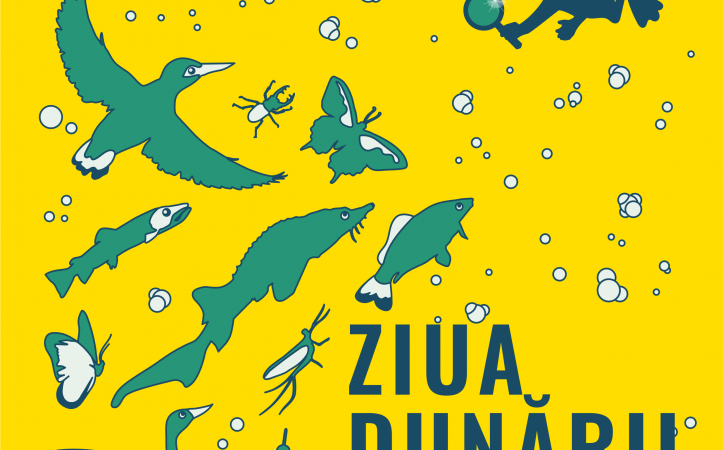 Miercuri, 29 iunie, ora 10:00 expoziţie de desene cu tema „Descoperă Dunărea”