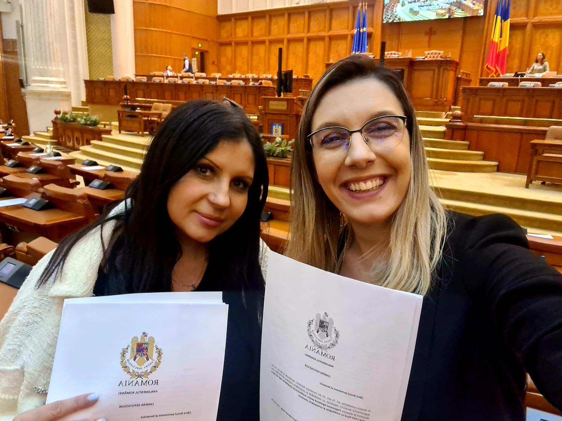 Proiectul “Regimul fiscal pentru nomazii digitali” iniţiat de parlamentarul PNL Gabriela Horga şi Diana Buzoianu a fost aprobat în Senat