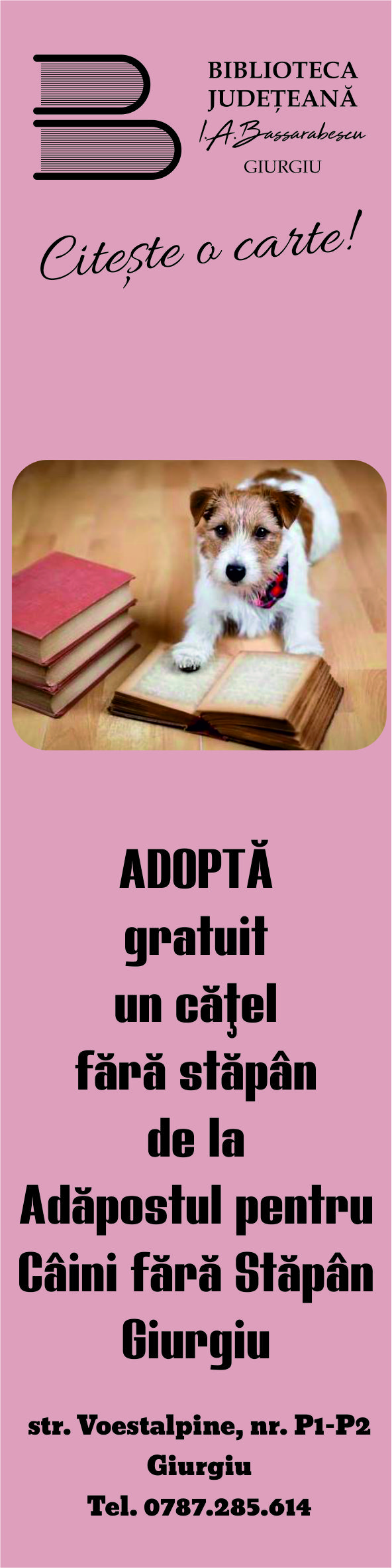 Adopţia câinilor fără stăpân, promovată de  Biblioteca Judeţeană “I.A. Bassarabescu”Giurgiu