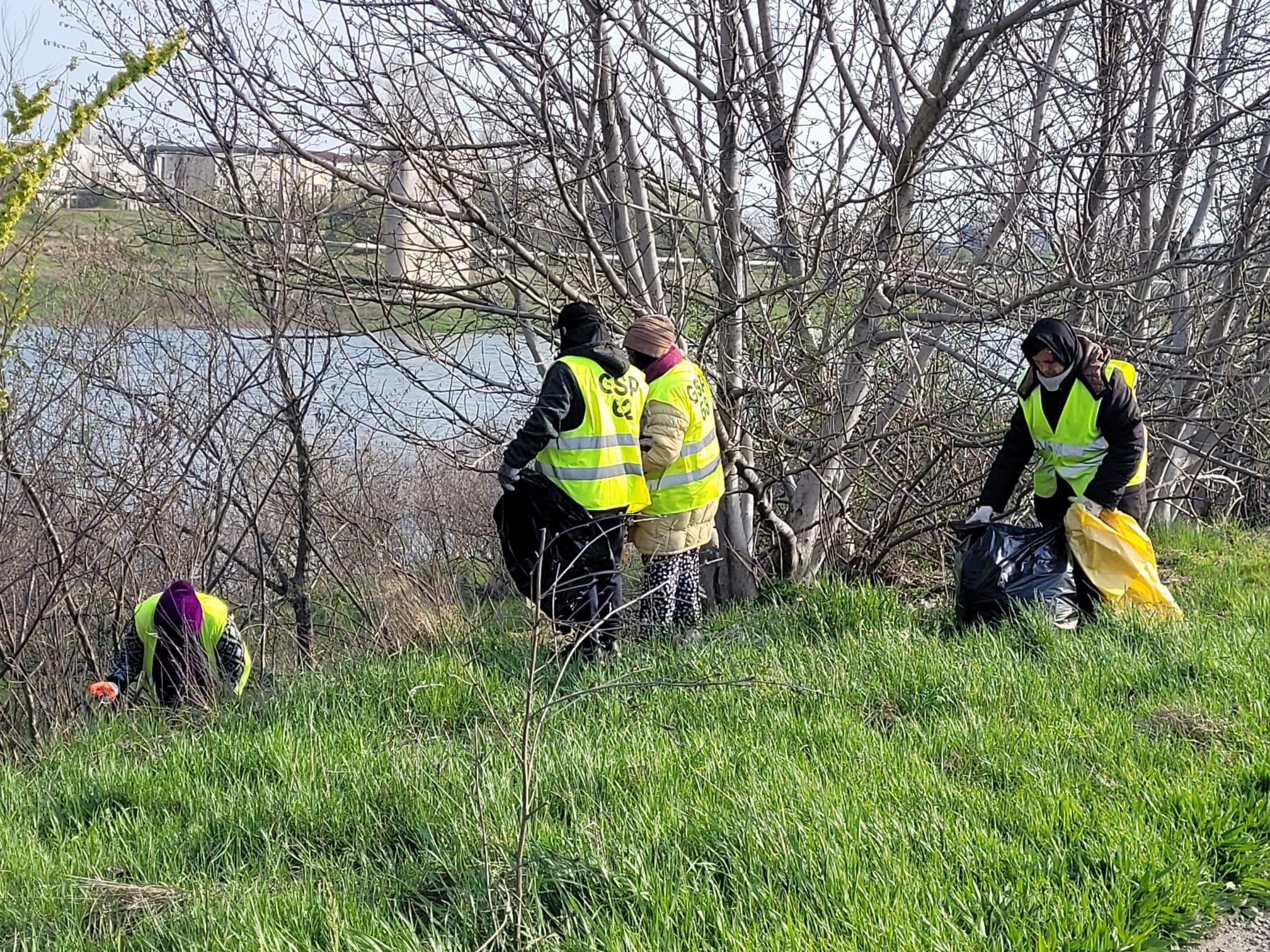 Salubrizare înainte de plantare