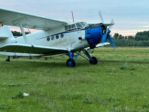 Giurgiu Servicii Publice va efectua cea de-a doua etapă a dezinsecției aeriene
