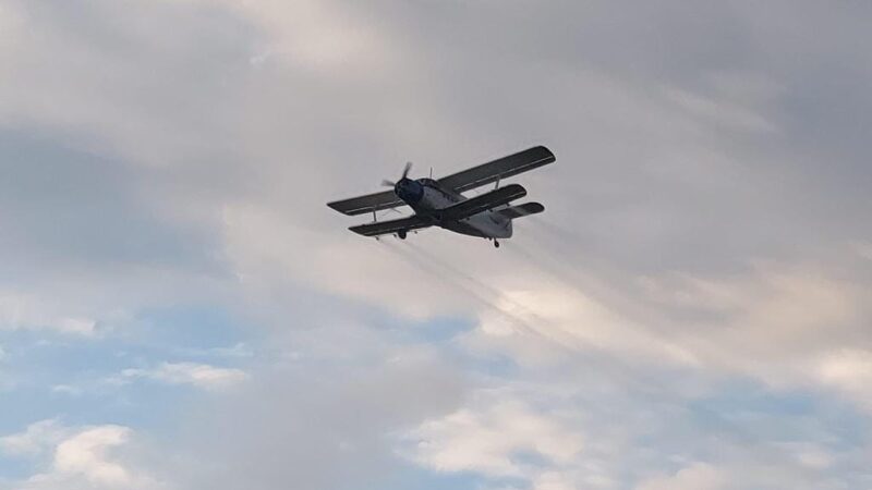 Programul activităților de dezinsecție aeriană