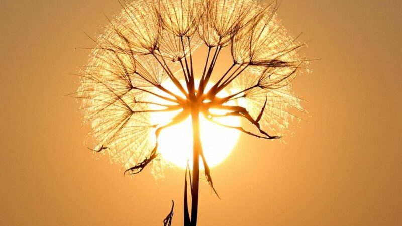 Urmează o lună cu temperaturi neobișnuite! Prognoza meteo pentru toată luna august