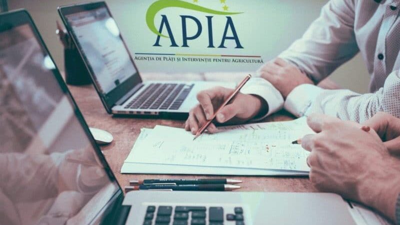APIA primește cereri de acordare a unui sprijin de urgență pentru sectorul cerealelor și cel al semințelor oleaginoase