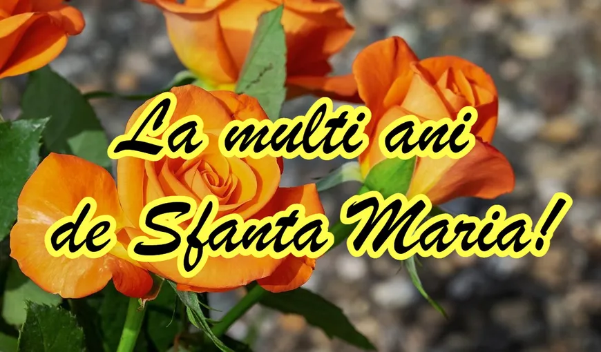 Sfânta MARIA MICĂ: 8 septembrie, NAȘTEREA MAICII DOMNULUI- cea mai mare SĂRBĂTOARE a toamnei. Semnificaţii și tradiţii