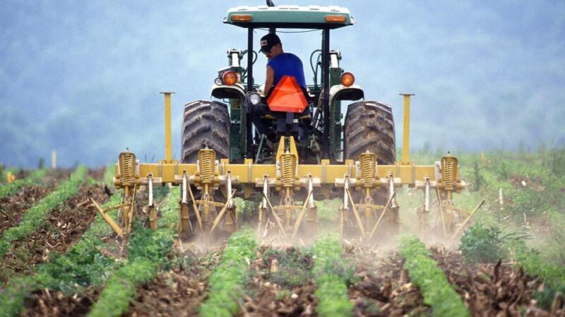 Dan Motreanu: Agenția pentru Plăți și Intervenție în Agricultură (APIA) a efectuat astăzi plăți în valoare de peste 403 milioane de lei, pentru anul de cerere 2023