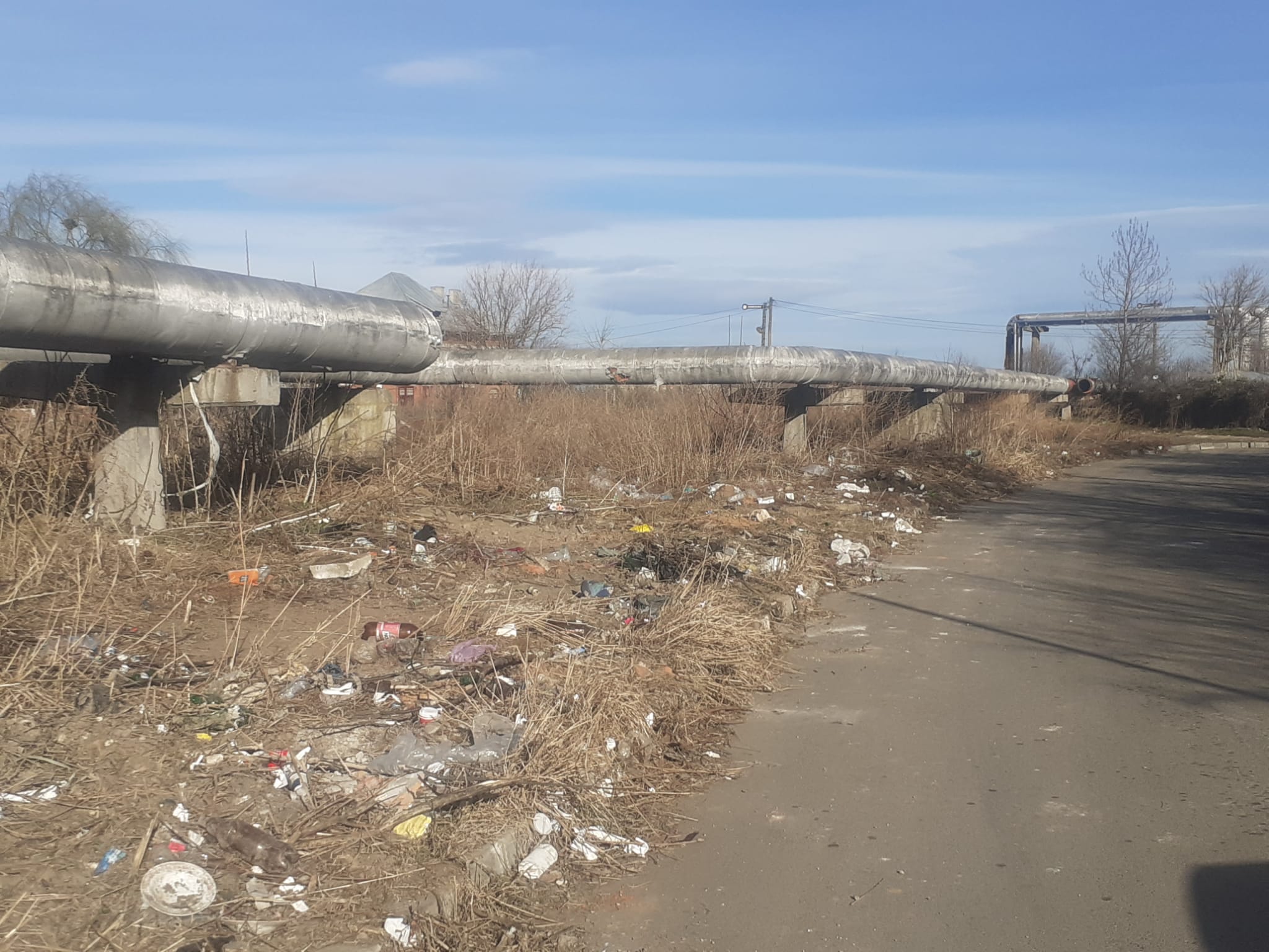 103 tone de deșeuri colectate în două săptămâni dintr-o singură zonă a municipiului