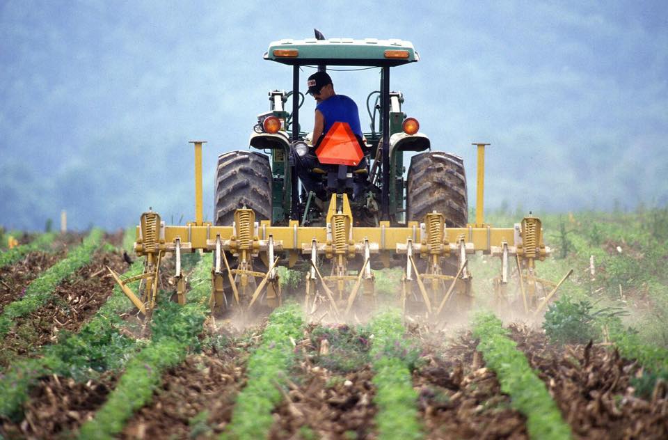 Dan Motreanu: Agenția pentru Plăți și Intervenție în Agricultură (APIA) a efectuat până în prezent plăți în valoare de 10,5 miliarde de lei, în cadrul Campaniei 2023