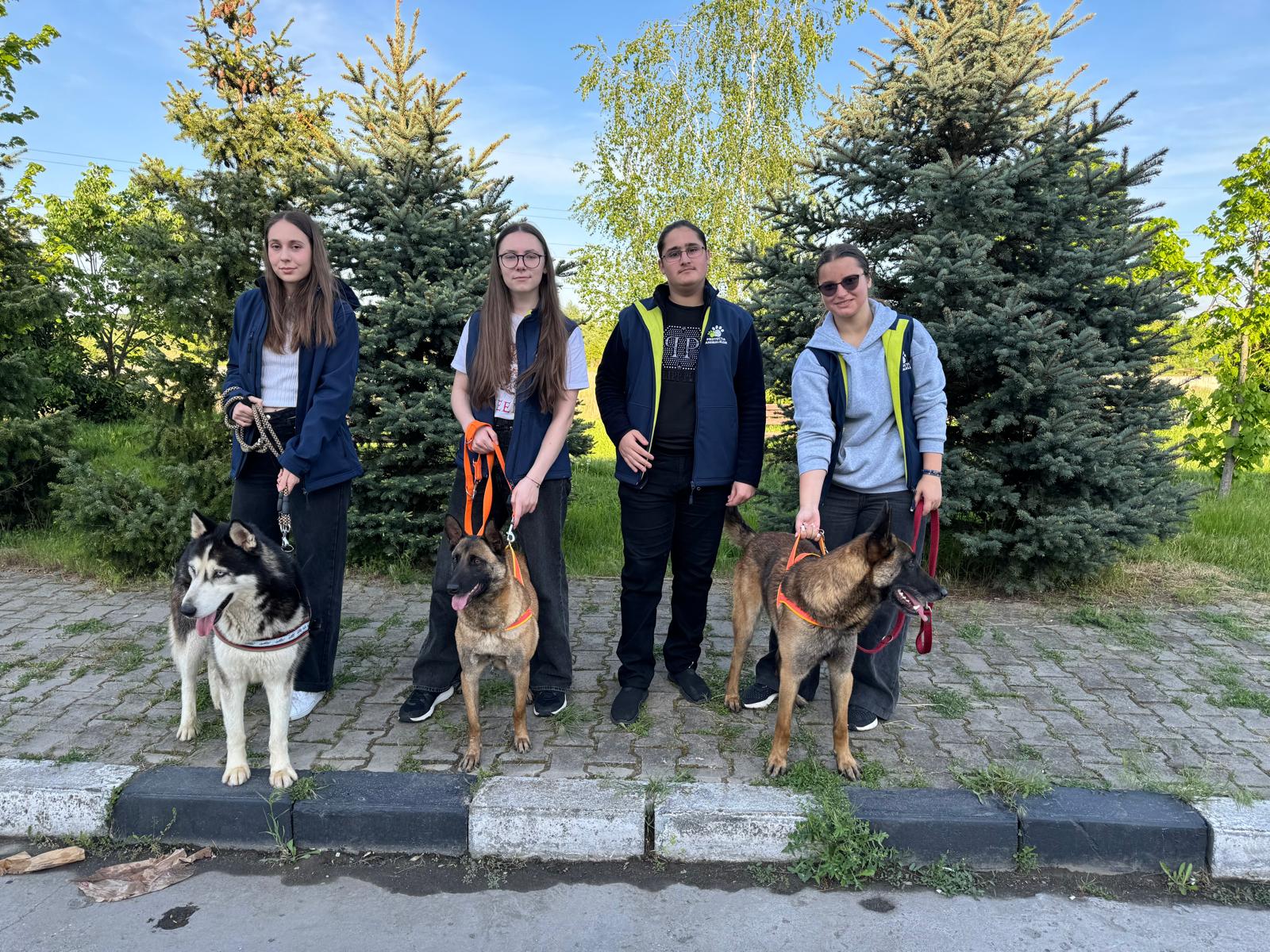 Primul târg de adopții câini va avea loc sâmbătă, 27 Aprilie, în parcul Alei din Giurgiu!