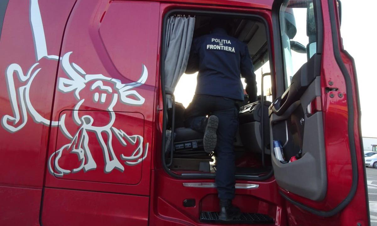 Aproximativ 16.000 țigarete descoperite ascunse în pereții laterali ai unui autocamion pentru transport animale