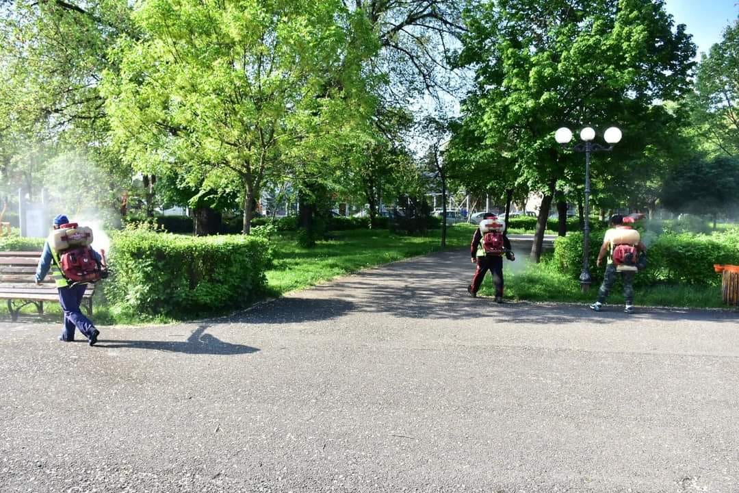 Dezinsecția a fost repetată în zonele verzi din municipiu