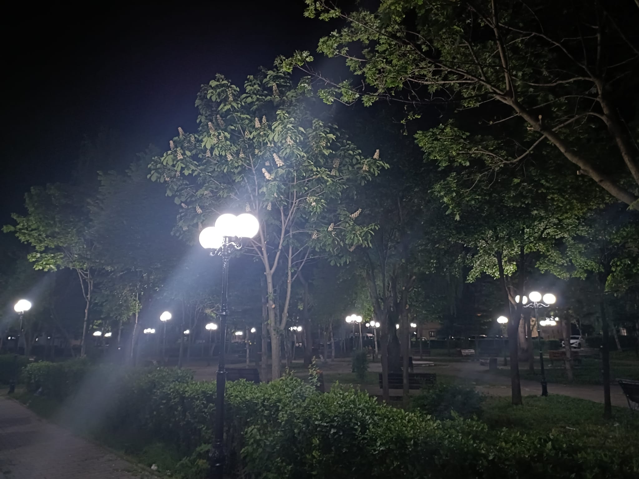 Giurgiu Servicii Publice a finalizat acțiunile de reabilitare a sistemului de iluminat public din parcul Clopotari
