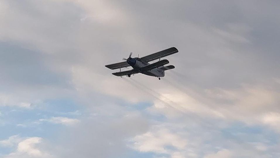 Cea de-a doua etapă a dezinsecției aeriene a fost programată la începutul lunii iulie