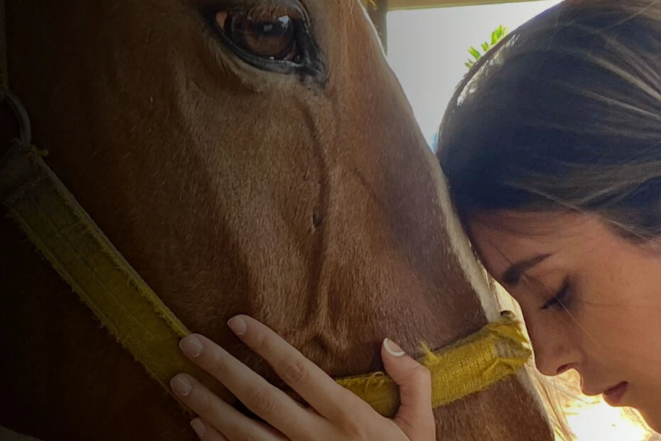 Terapia cu animale. Ce afecțiuni pot fi vindecate cu ajutorul animalelor și care sunt beneficiile