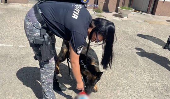 BUNURI CONTRAFĂCUTE, DESCOPERITE DE POLIȚIȘTII GIURGIUVENI