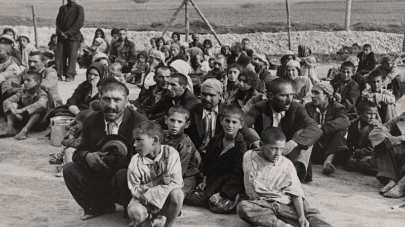 Dan Motreanu: Cinstim astăzi,2 august, memoria celor 500.000 de romi care au fost exterminați în timpul celui de-al doilea război mondial