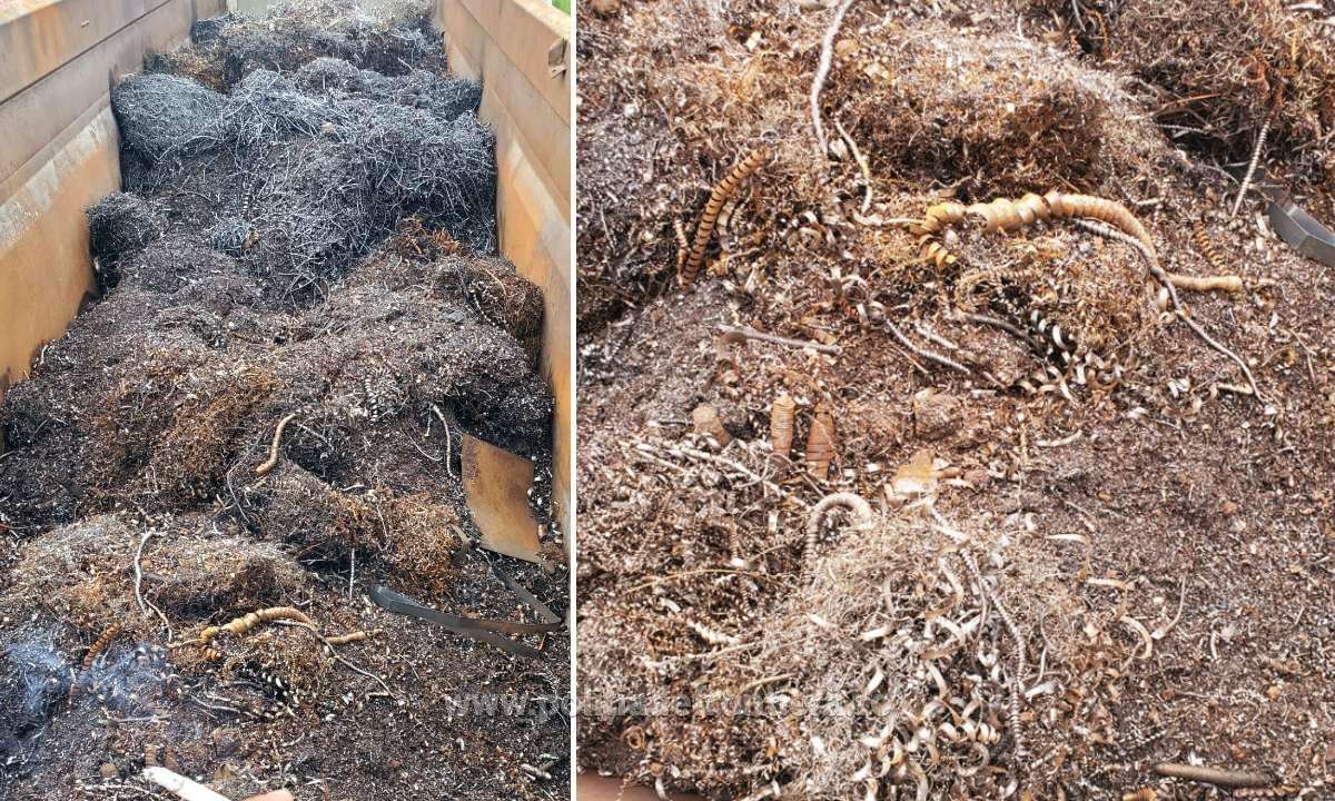Peste 20.000 kg de deșeuri metalice, oprite de polițiștii de frontieră giurgiuveni
