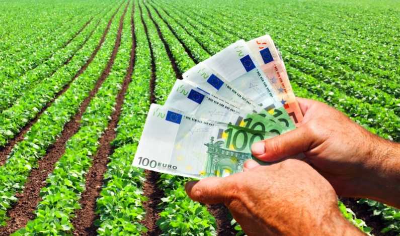 Dan Motreanu: Fermierii vor beneficia de plăți în avans mai mari din fondurile europene