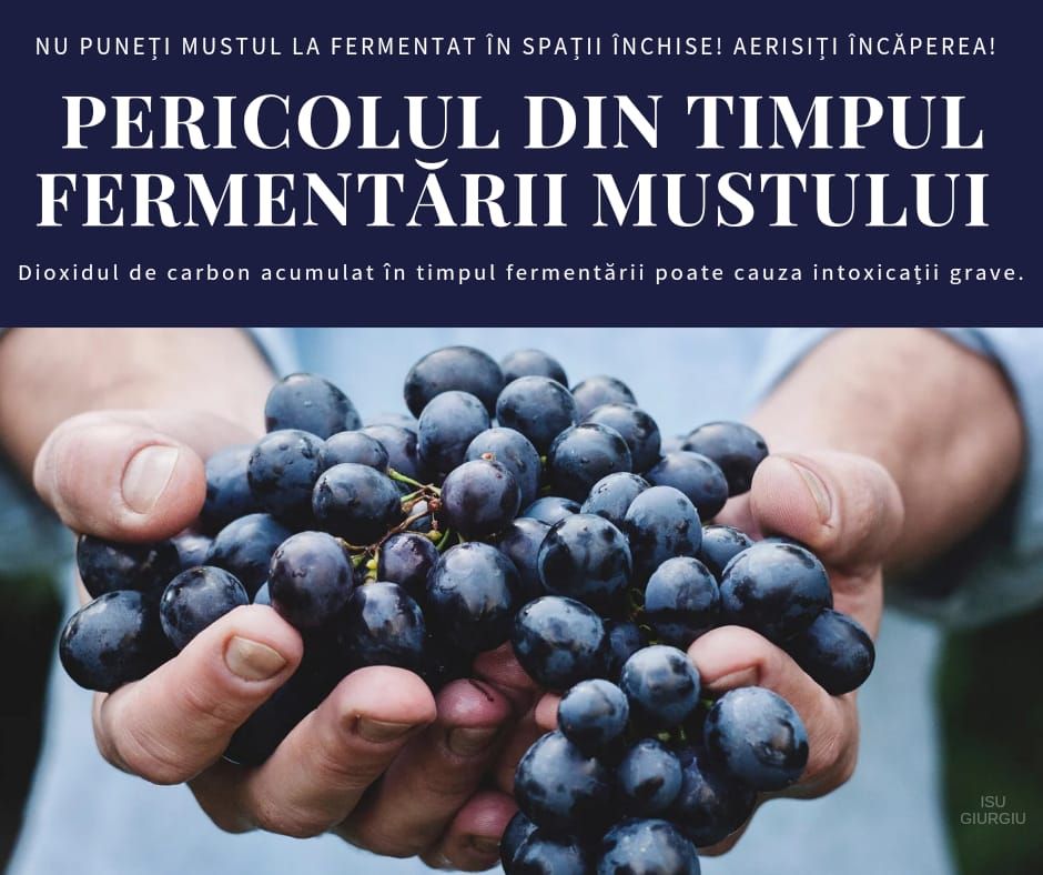 Fermentarea mustului – reguli de securitate