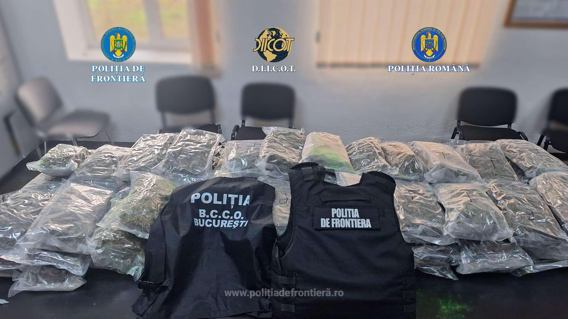 Turc depistat de polițiștii de frontiera giurgiuveni cu 37 de kilograme de canabis ascunse într-o semiremorcă încărcată cu arbuști ornamentali