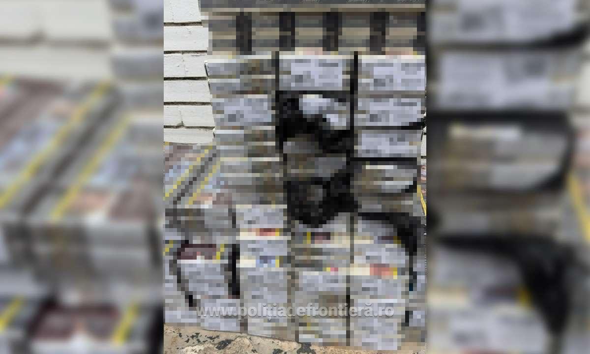 Aproximativ 250.000 de țigarete, descoperite de către polițiștii de frontieră din cadrul ITPF Giurgiu