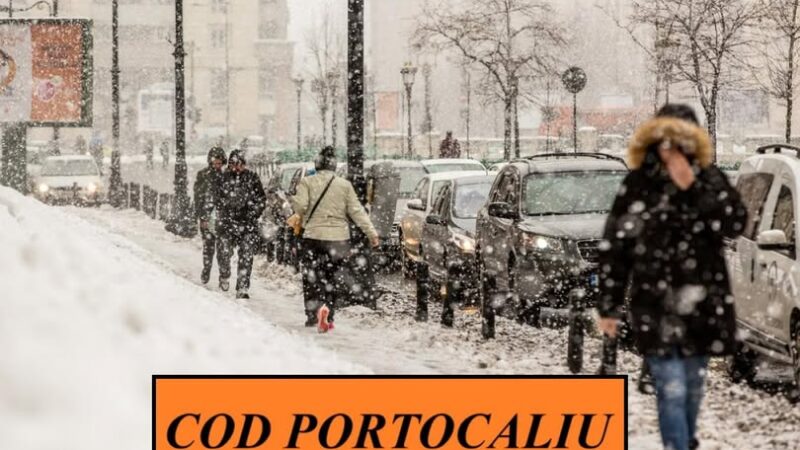 COD PORTOCALIU de ninsori abundente şi vânt puternic în judeţul Giurgiu