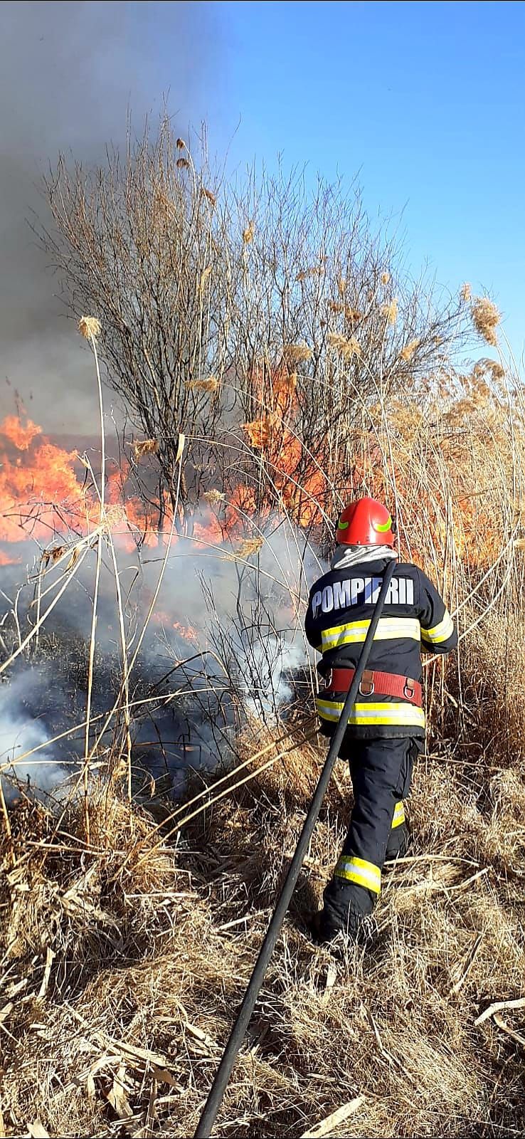 Apel la responsabilitate: prevenirea incendiilor de vegetație