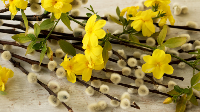 Ce se sărbătoreşte de Florii. Semnificaţia zilei şi tradiţii