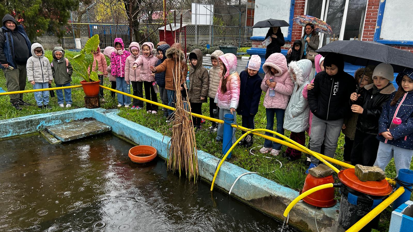 Și ce dacă plouă? Săptămâna verde continuă
